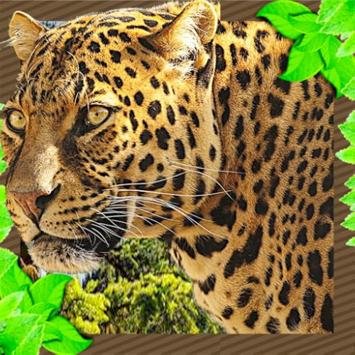 Wild Jaguar Family Simulator