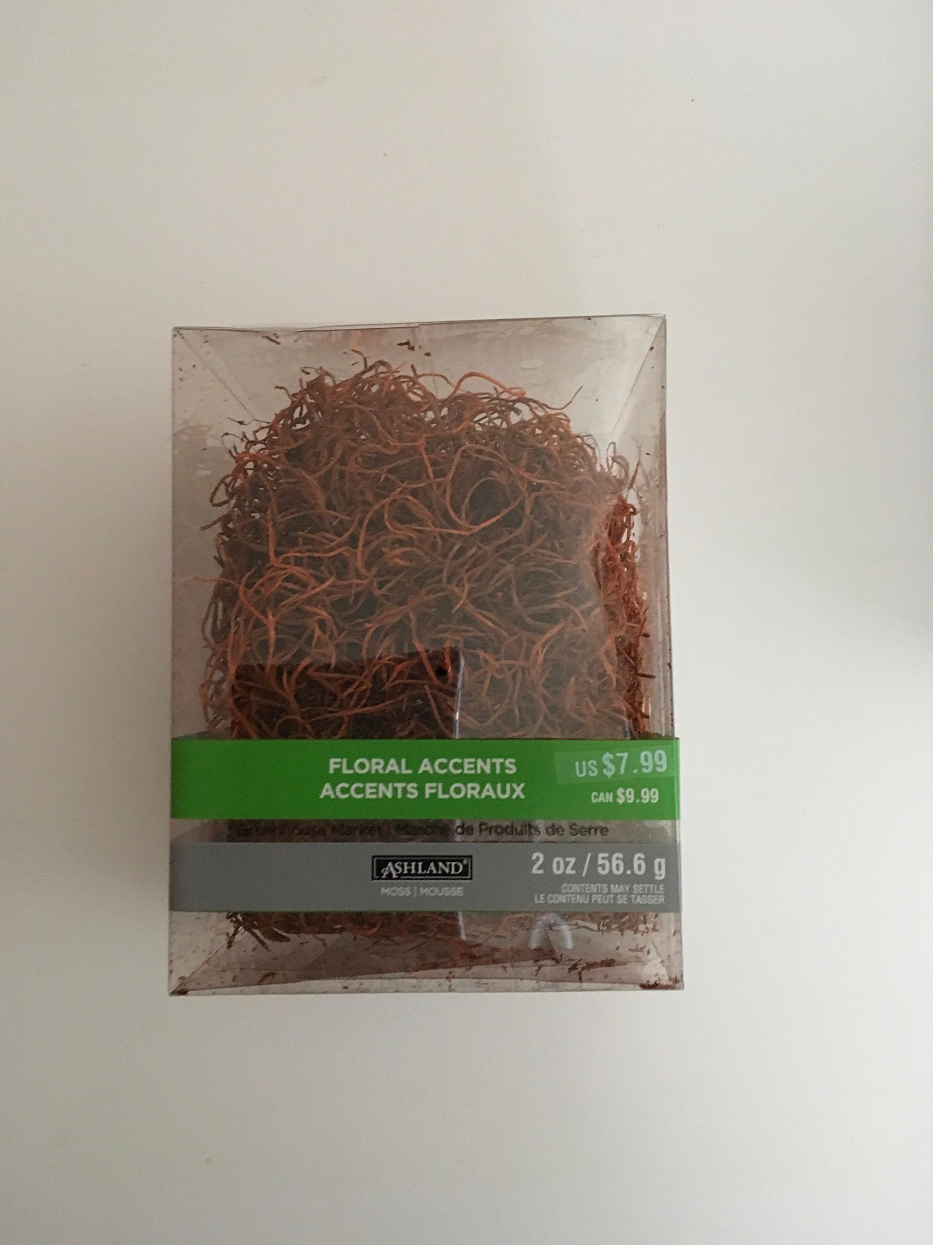 Ashland Ashland Floral Accent