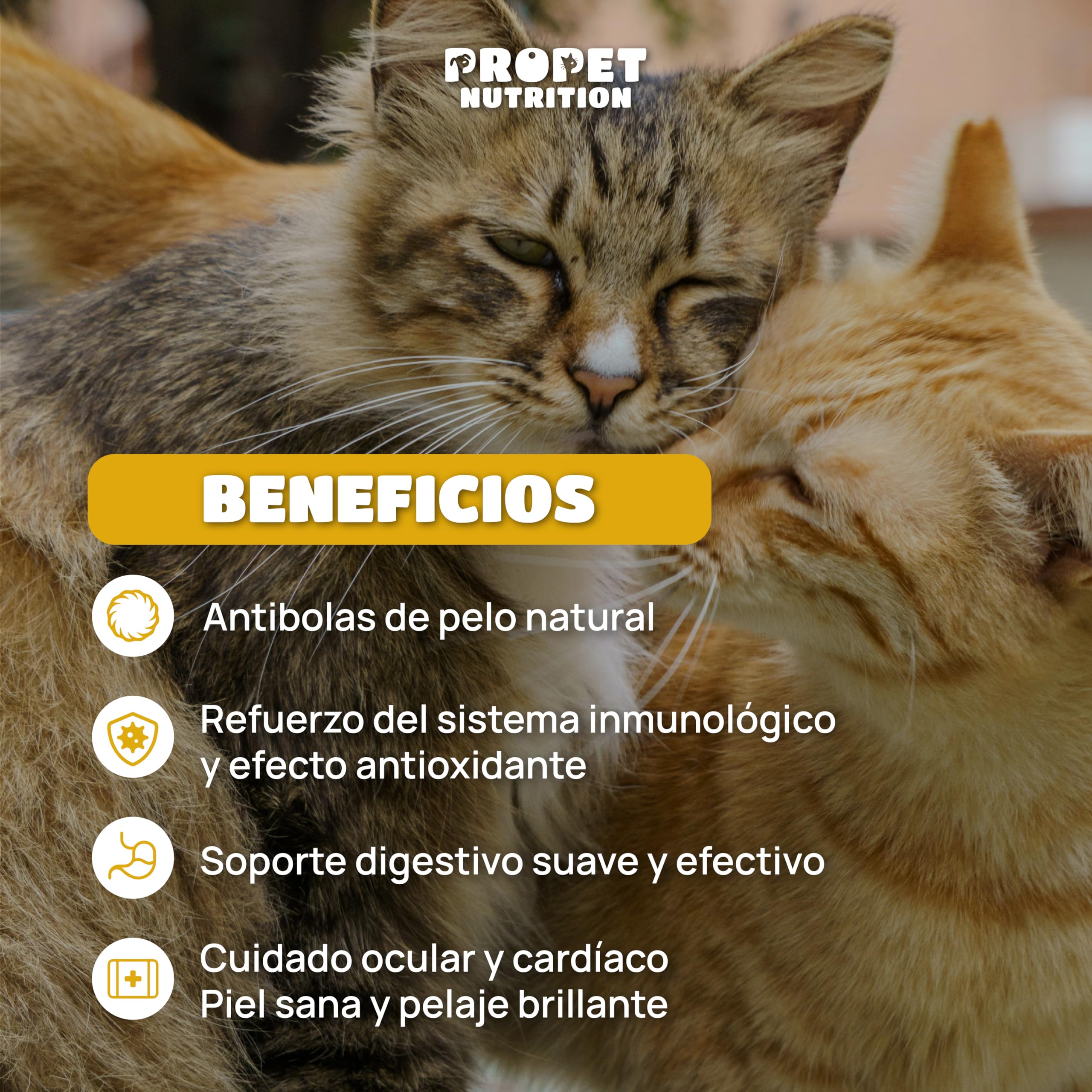 Malta para Gatos + Taurina + Vitaminas. Triple Acción. Elimina y Previene Bolas de Pelo. Óptima Salud Intestinal. 120 ML. Impulsa Bienestar General. Enriquecido con Vitaminas para Gatos. Malta Gatos