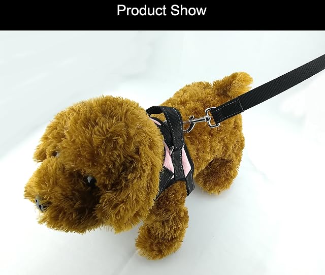 Foto 4 de 6 de Newtensina Moda reflexivo Perro arnes Grande con Correa Respirable Malla de Nylon arnes Correa Set para Perro