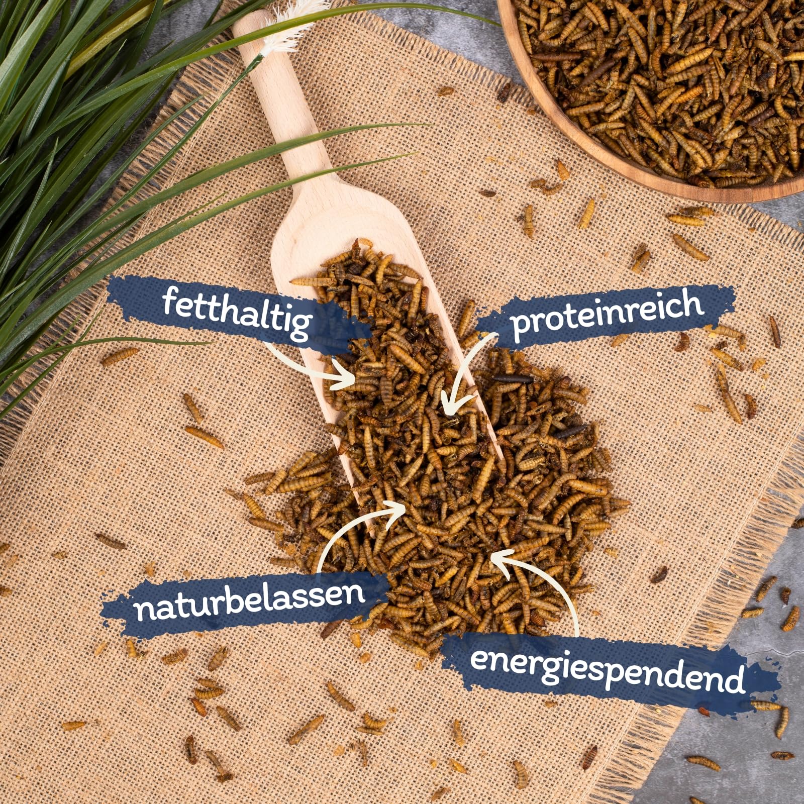 Lyra Pet® 10 kg Soldatenfliegenlarven getrocknet - Hermetia Illucens | Black Soldier Fly - wie Mehlwürmer - reich an Kalzium & Proteinen energiereiches Futter für Vögel, Fische, Nager & Reptilien