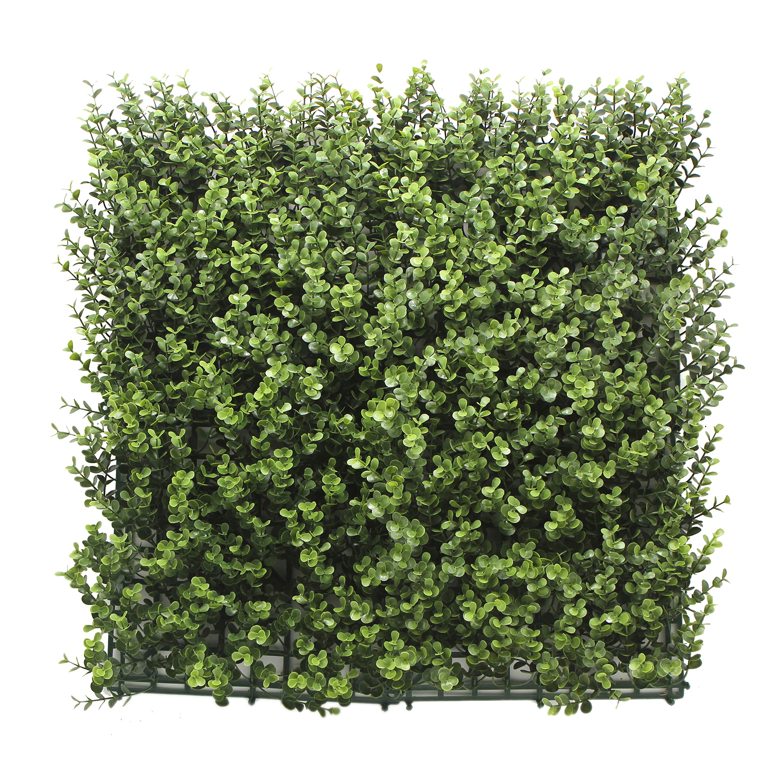 BONERVA | Jardín Vertical BUXUS | Planta Artificial para decoración de Pared en Interior y terrazas | Pack 1m² (4 Piezas 50 x 50 cm) | Jardín Vertical estético para hogar, oficinas y restaurantes