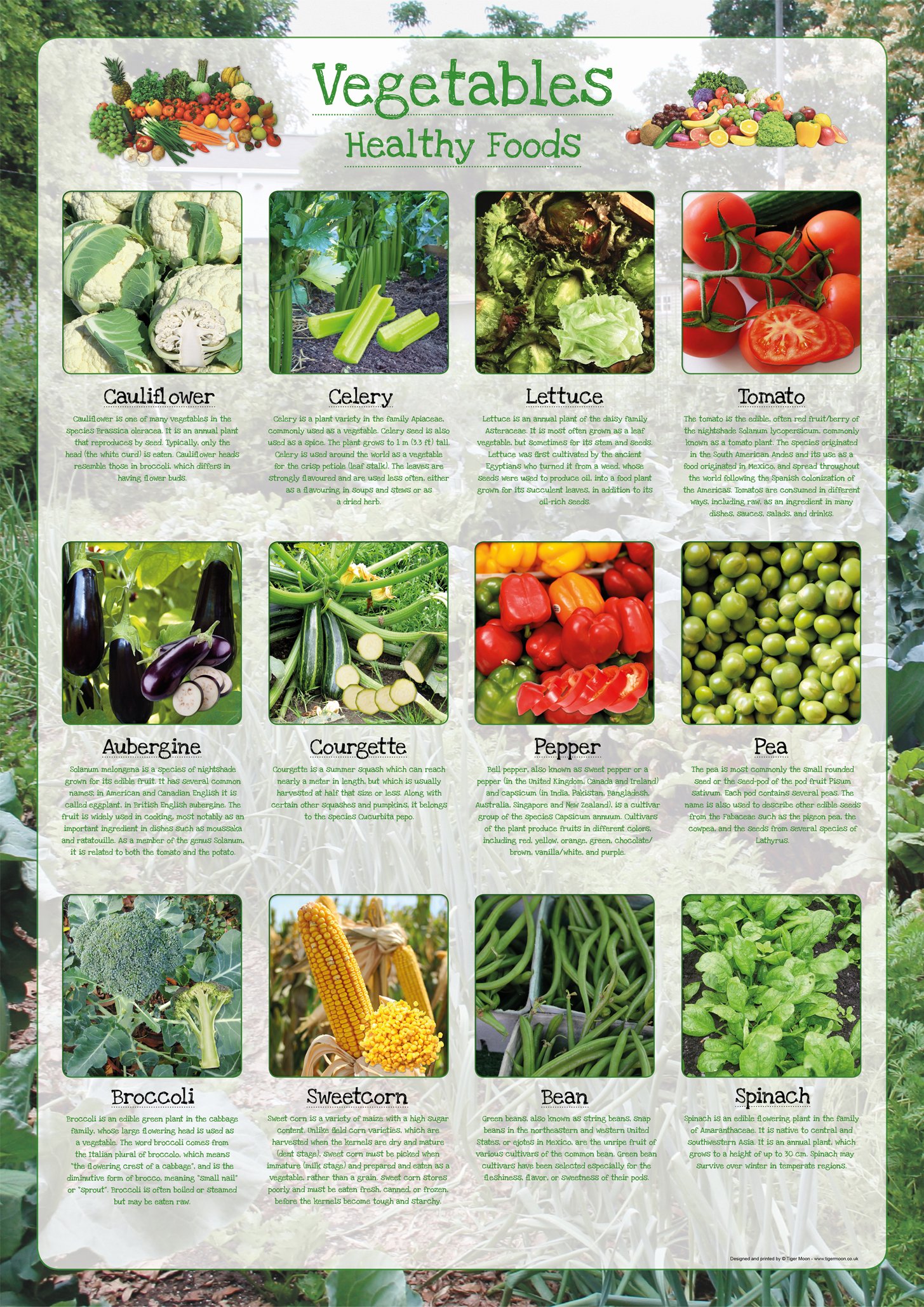 Healthy Eating Poster - Vegetables (PS1) - Classroom Decoration, Bulletin Board, Teach & Learn Information Poster - Paper Laminated - A2 42 x 59.4 cm