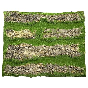 Tfwadmx Reptile Terrarium Background,Tank Tree Bark Cork Background Backdrop Wall Decor for Lizard Turtle Gecko Beared Dragon Frog Chameleon Spider.