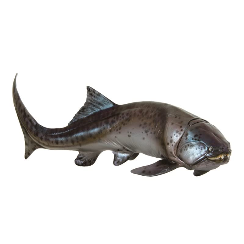 Amazon | PNSO ダンクルオステウス ダンクレオステウス 板皮類 古代魚