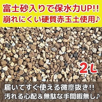 Amazon | Leap Raupe 【富士砂入り】塊根植物の土 サボテンの土