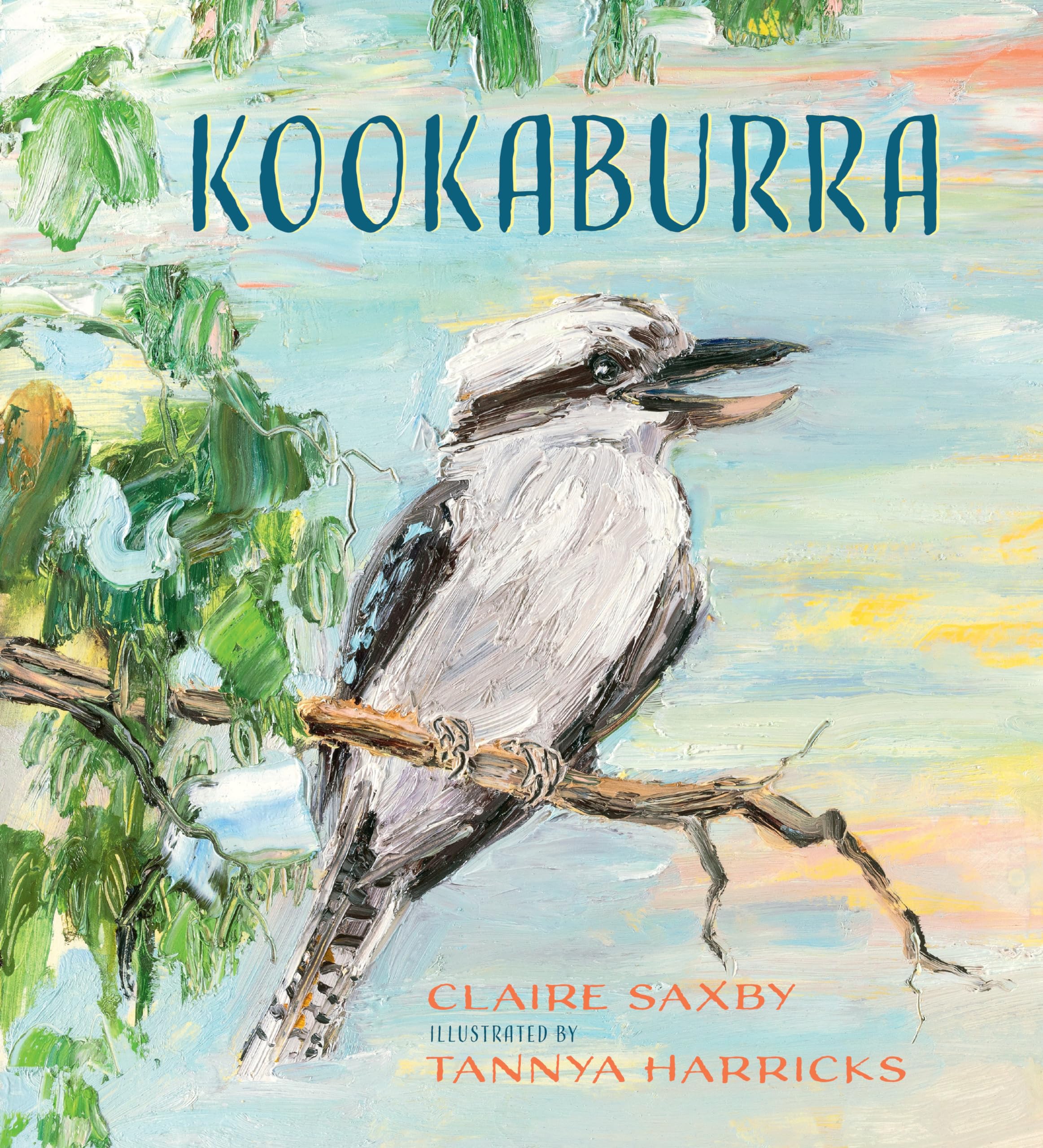 サンシェード　kookaburra Kookaburra | Amazon.com.br