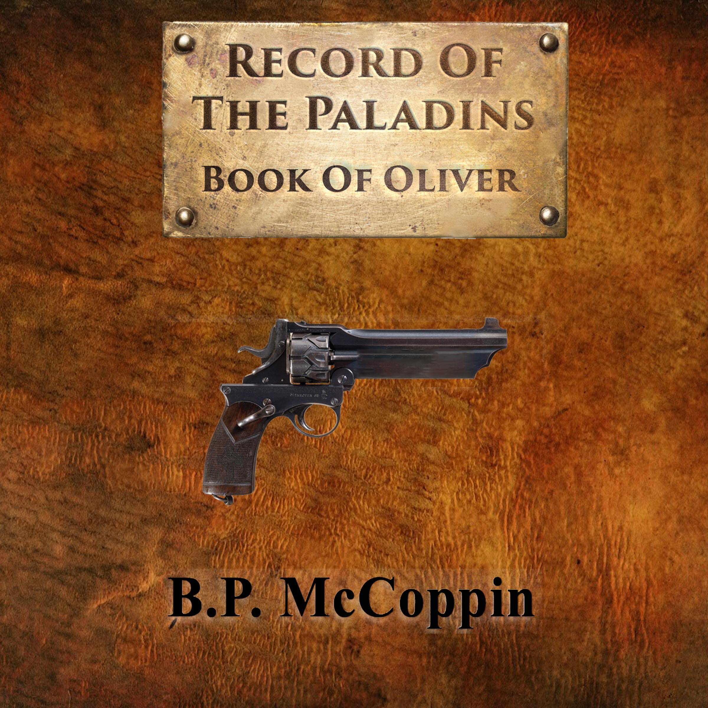Cover art for Record of the Paladins