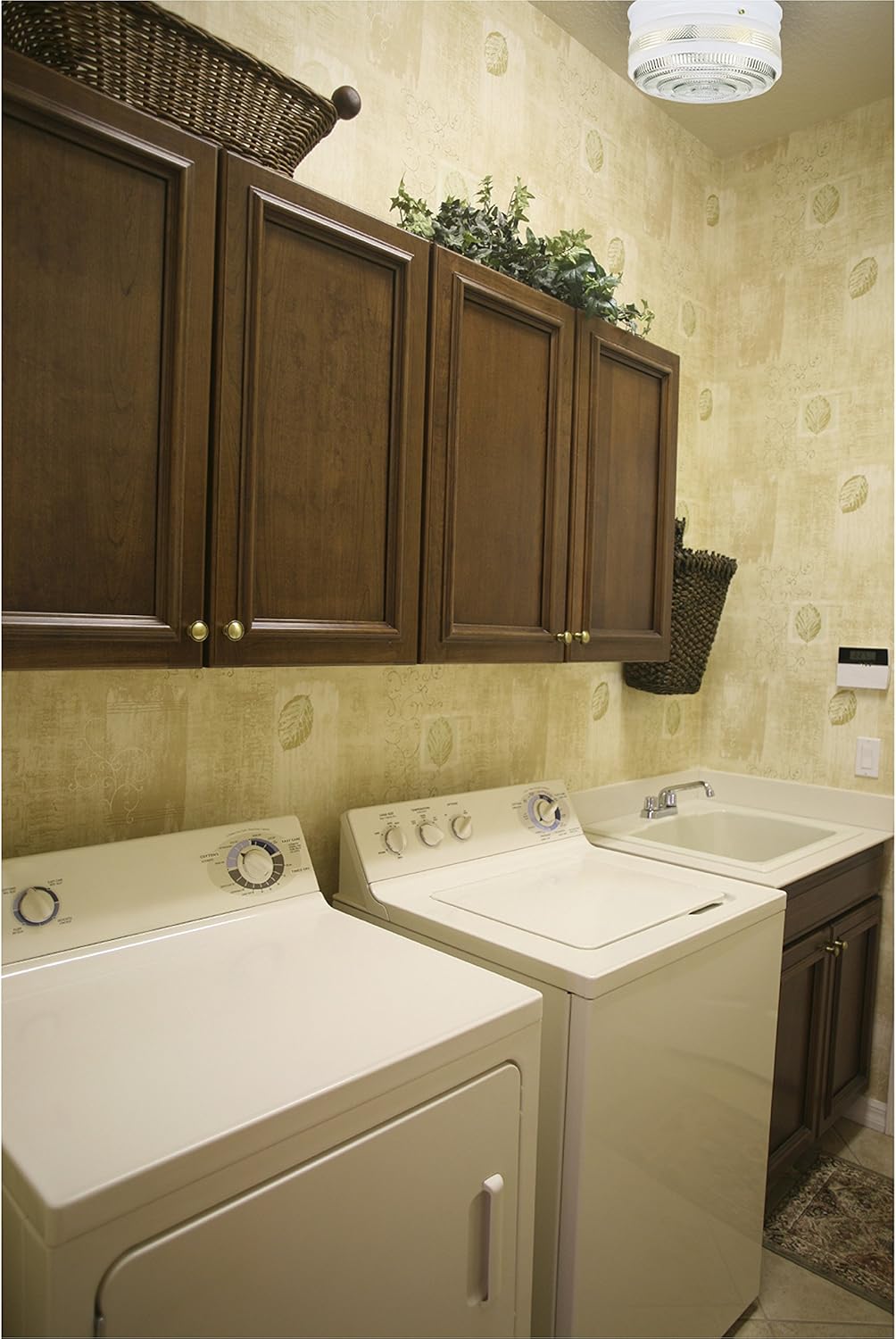 Westinghouse 6620300 Two-Light Ceiling Fixture, Clear,White