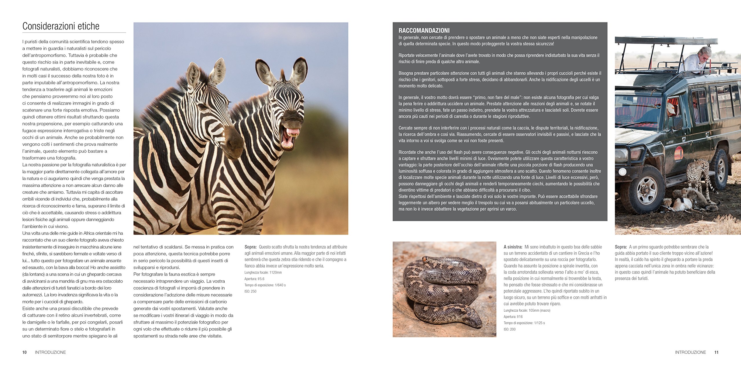 Natura selvaggia. Corso completo di tecnica fotografica