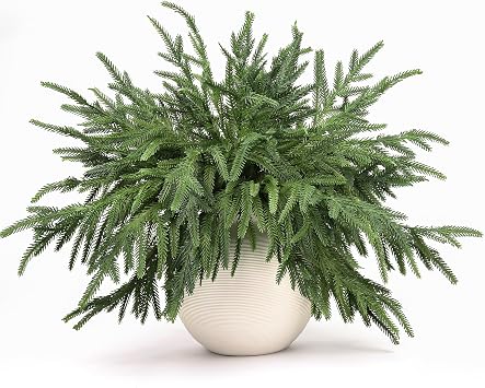 Norfolk Pine Stems, 12 Pcs 18" Real Touch Artificial Pine Branches for Vase