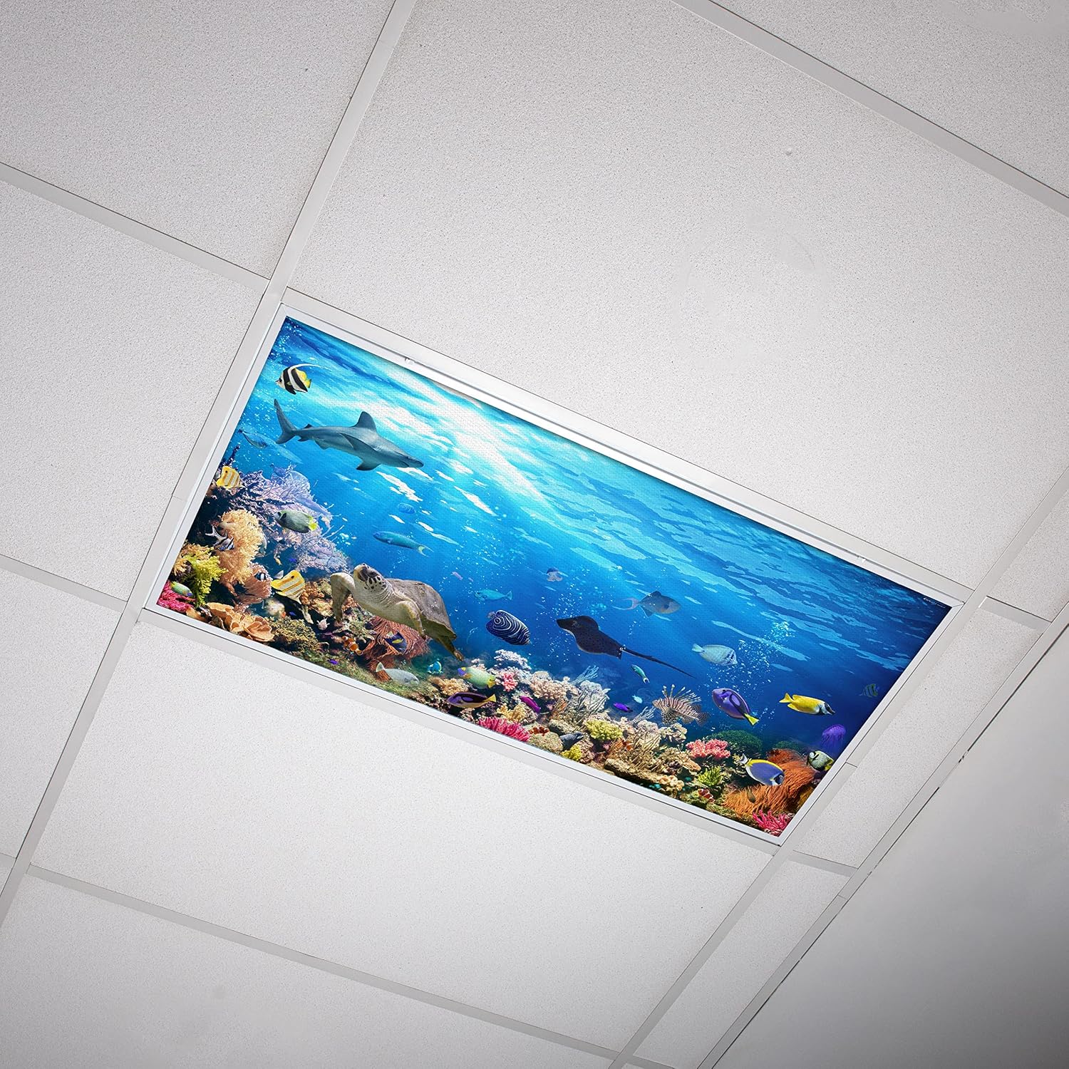 Octo Lights Fluorescent Light Decorative Covers for Classroom Ceiling Lights - 2x4 (22.38in X 46.5in) - Improves Focus, Eliminates Headaches, Provides Relief from Harsh Florescent Lights - Ocean 009