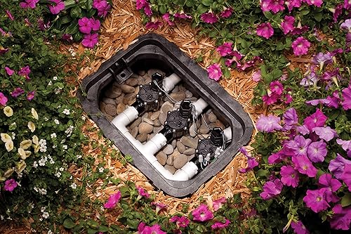 Miniatura 3 de Rainbird National Sls CP-100 válvula de riego automático con entrada de 1 pulgada, Negro