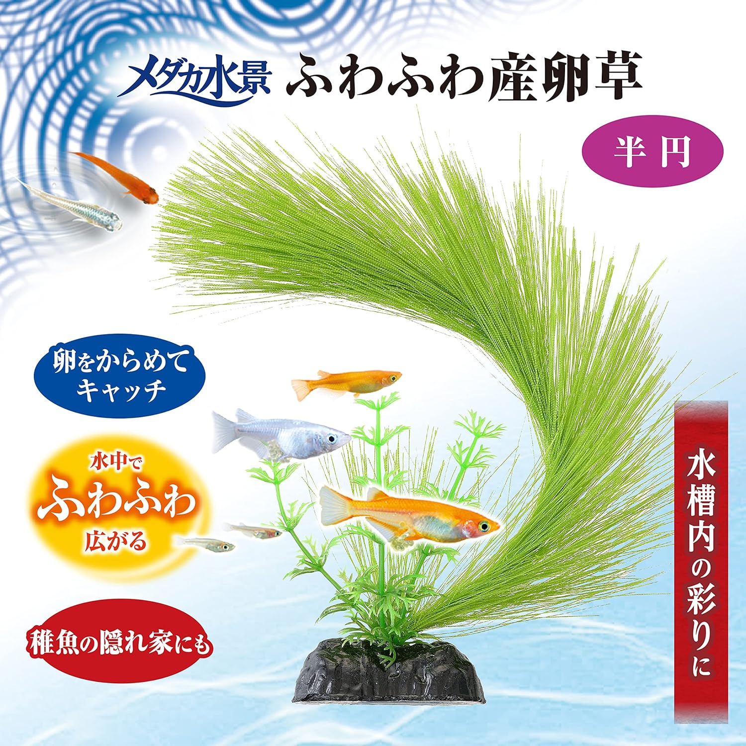 Medaka Water View Fluffy Spawning Grass Semicircle Hideaway Color Aquarium