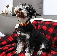 Vista 12 de Unique Style Paws - Collar rosa con hebilla de metal, duradero y lindo para perros pequeños a grandes