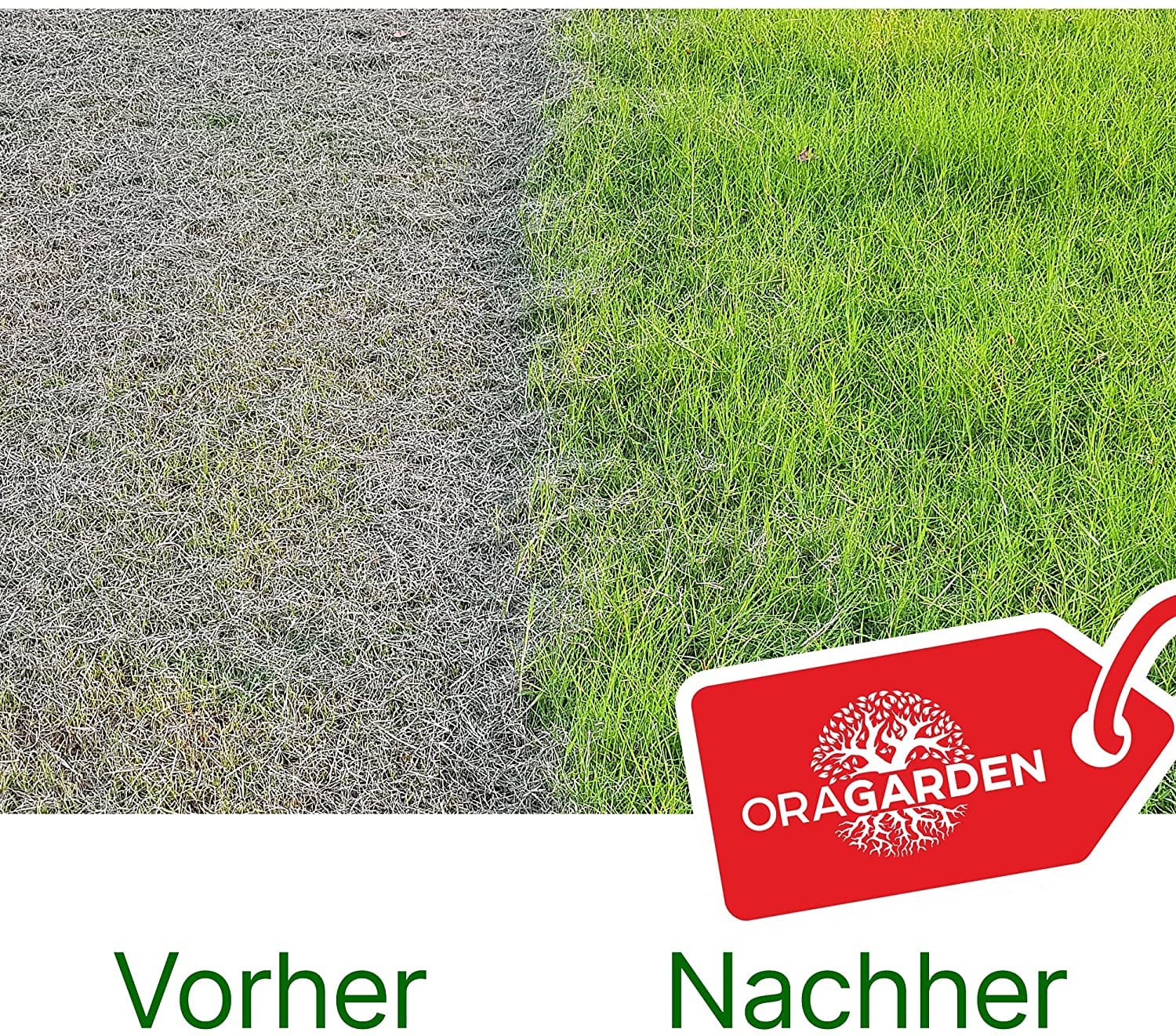 Rasenpellets Dürreresistenten für Schnellkeimenden Rasen - Rasensamen für Robusten und Widerstandsfähigen Rasen - Rasensaat zur Ansaat und Nachsaat für Sportrasen – Geeignet für Schatten… (10 Kg)