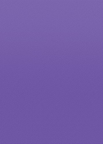 Miniatura 6 de Teacher Created Resources Rollo de tablón de anuncios rojo y morado Better Than Paper