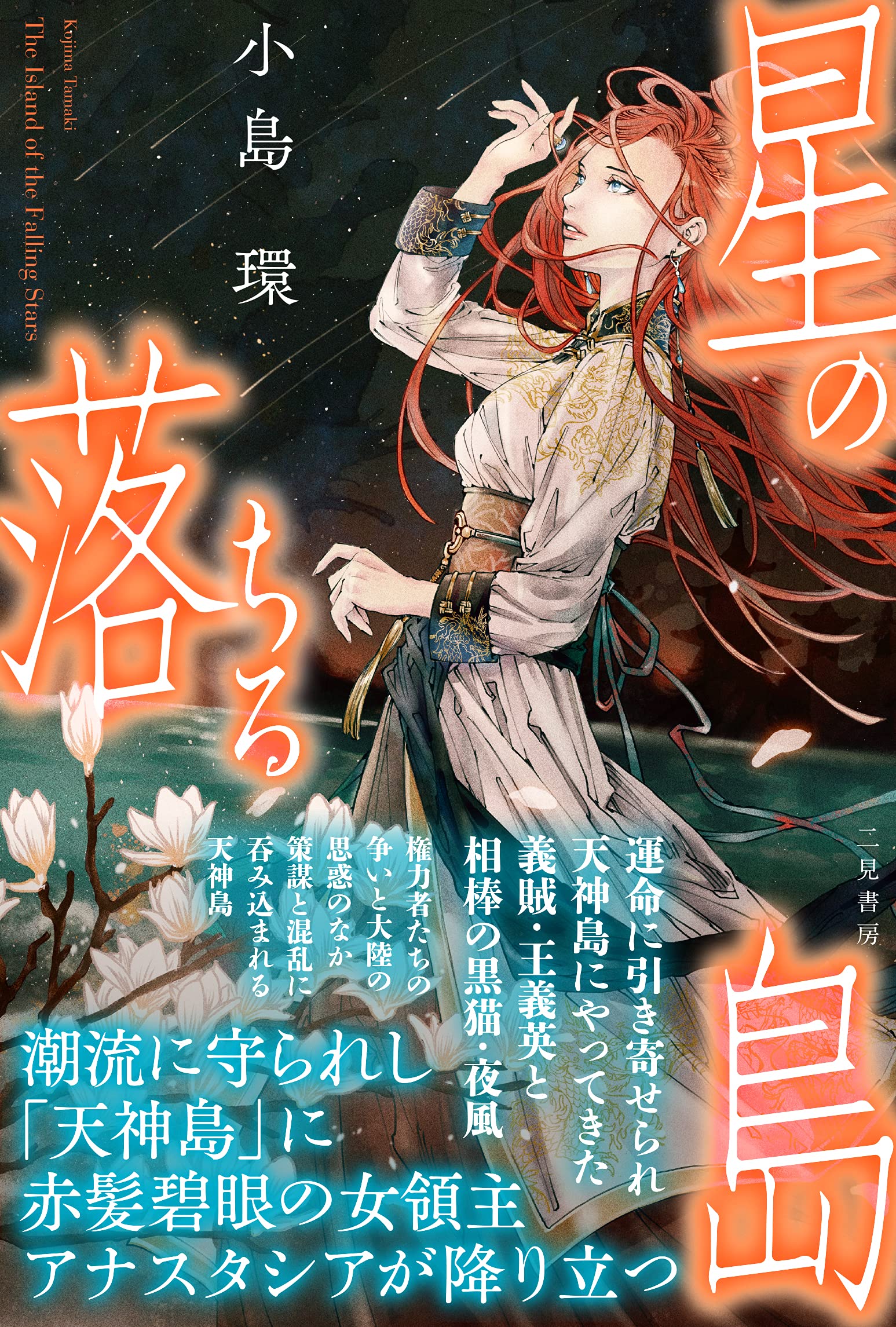 Amazon.co.jp: 星の落ちる島 : 小島 環, 孳々: 本