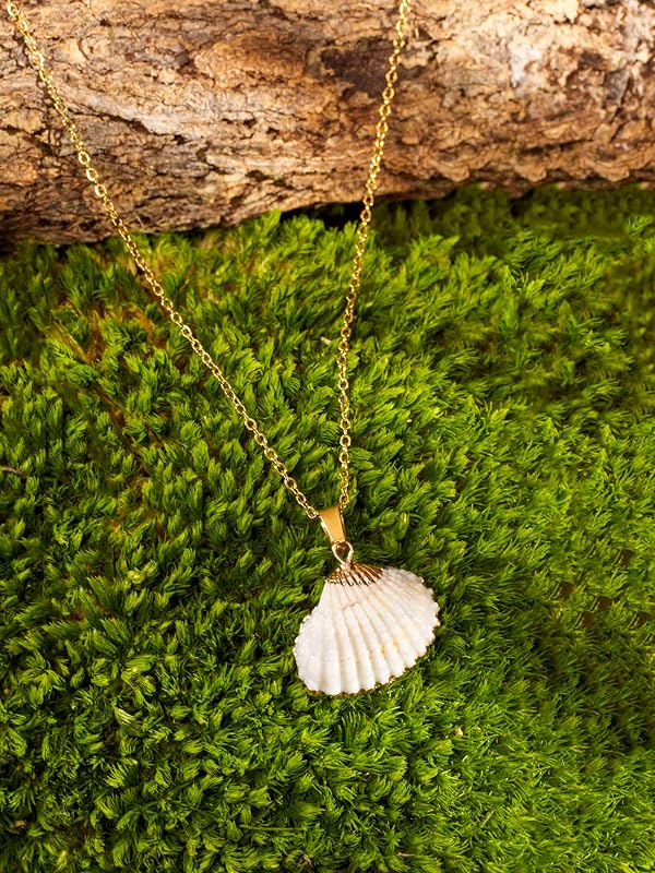 MINACHI Vintage Bohemian Seashell Shell Pendant Chain Necklace for Women by MINACHI - Used condition - Image 3