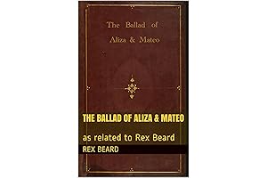 The Ballad of Aliza & Mateo: as related to Rex Beard