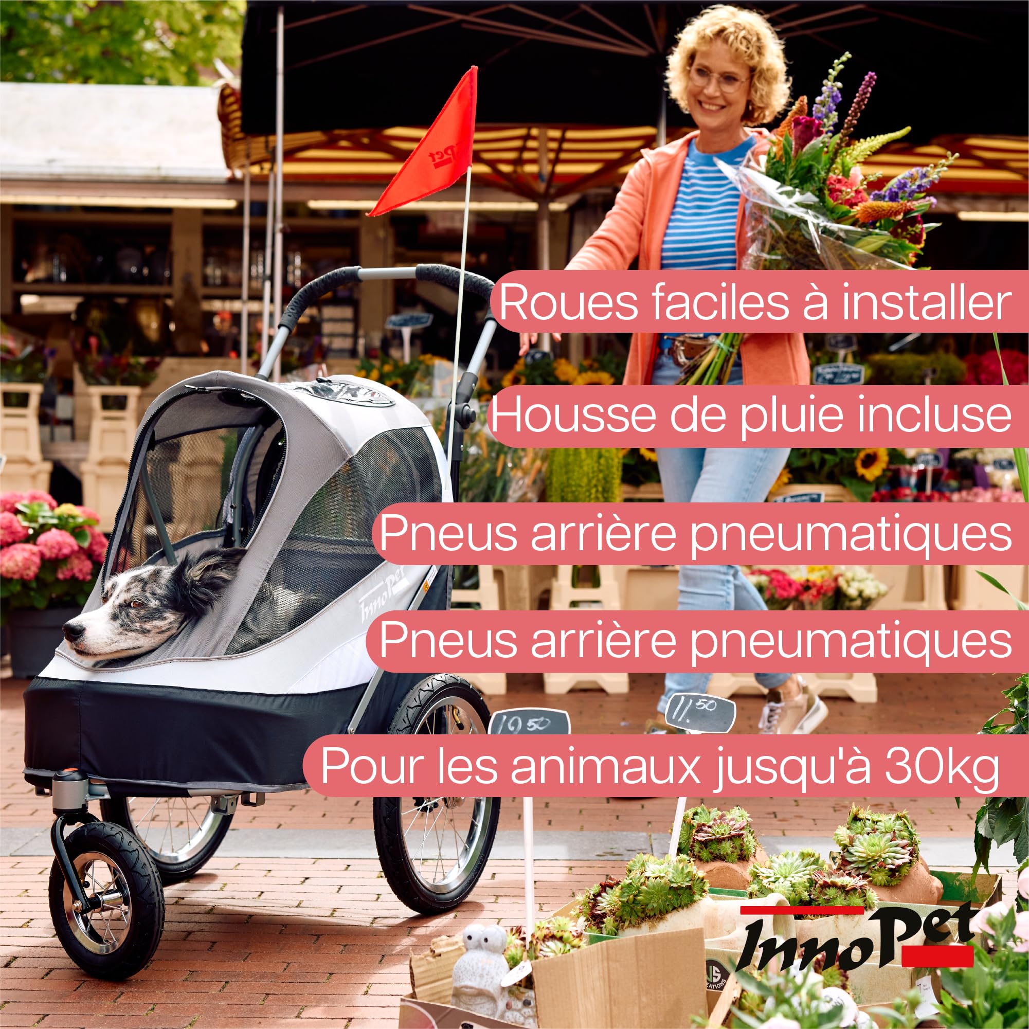 Innopet Sporty Dog Trailer Deluxe Noir/Argent - Poussette pour chien et remorque pour vélo 2 en 1 avec housse de pluie Capacité30 kg - Drapeau - Barre d'attelage et connecteur pour vélo