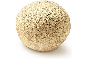 Sweet Cantaloupe: A Fruity Oasis