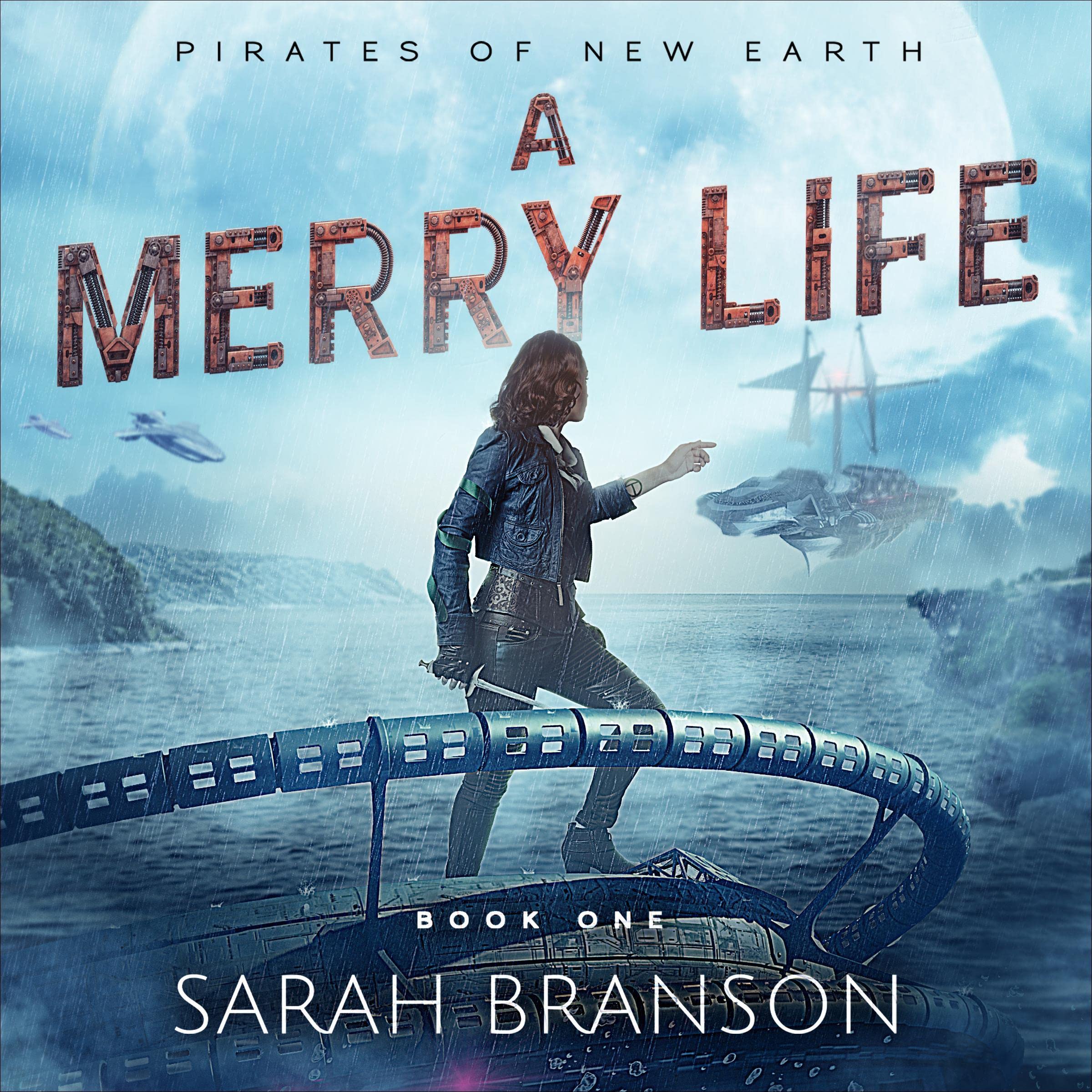 Cover art for A Merry Life