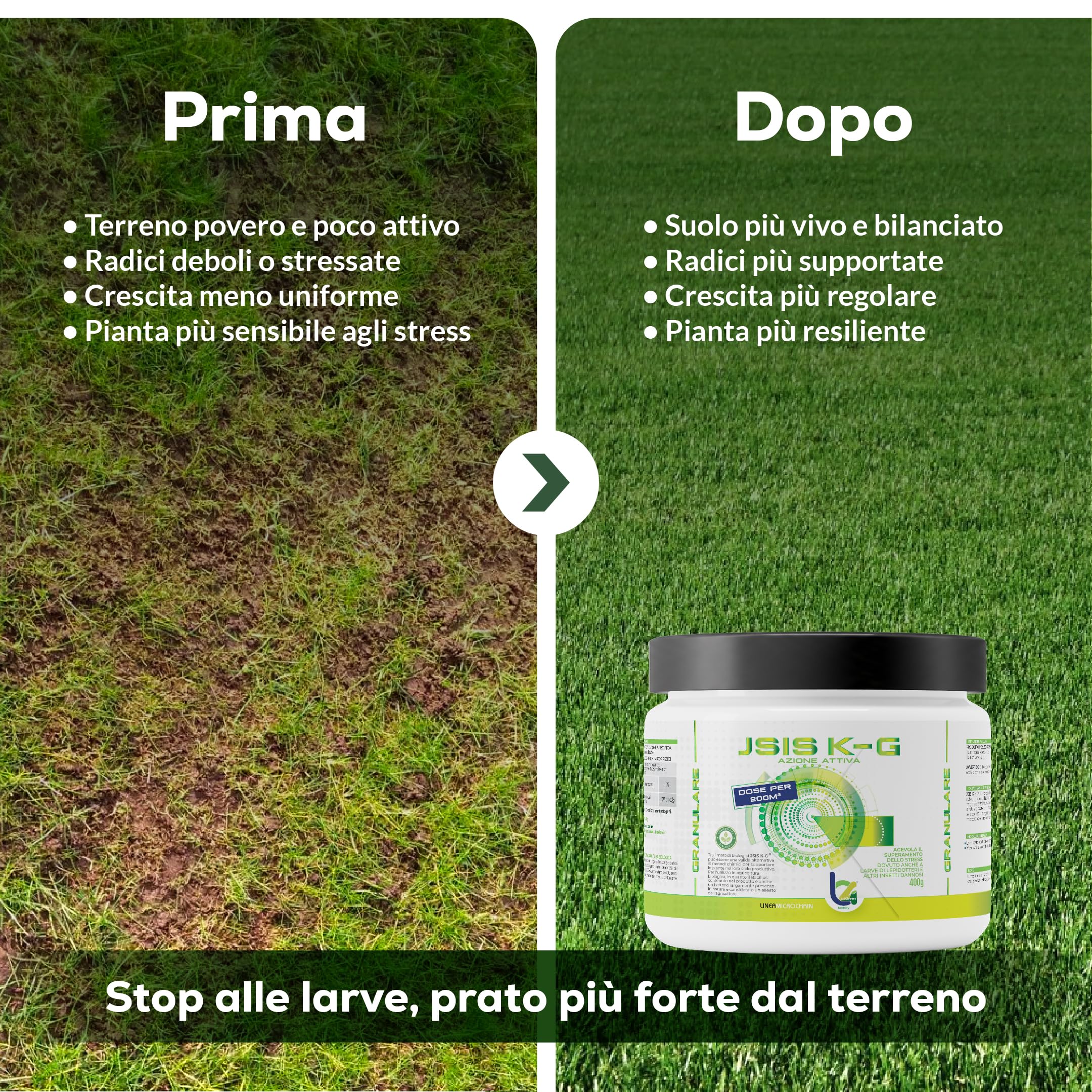 B4Green JSIS K-G Granulare 400g per 200m² – Bacillus Thuringiensis Kurstaki Israelensis Larvicida Biologico per Prato, Larve di Lepidotteri e Bruchi, Ammendante per Agricoltura Biologica