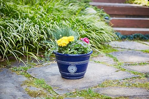 Miniatura 3 de Southern Patio Maceta Modesto para interiores y exteriores de 15 pulgadas con orificio de drenaje y tapón, capacidad de 16.38 cuartos de galón