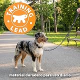 Ver la foto 6