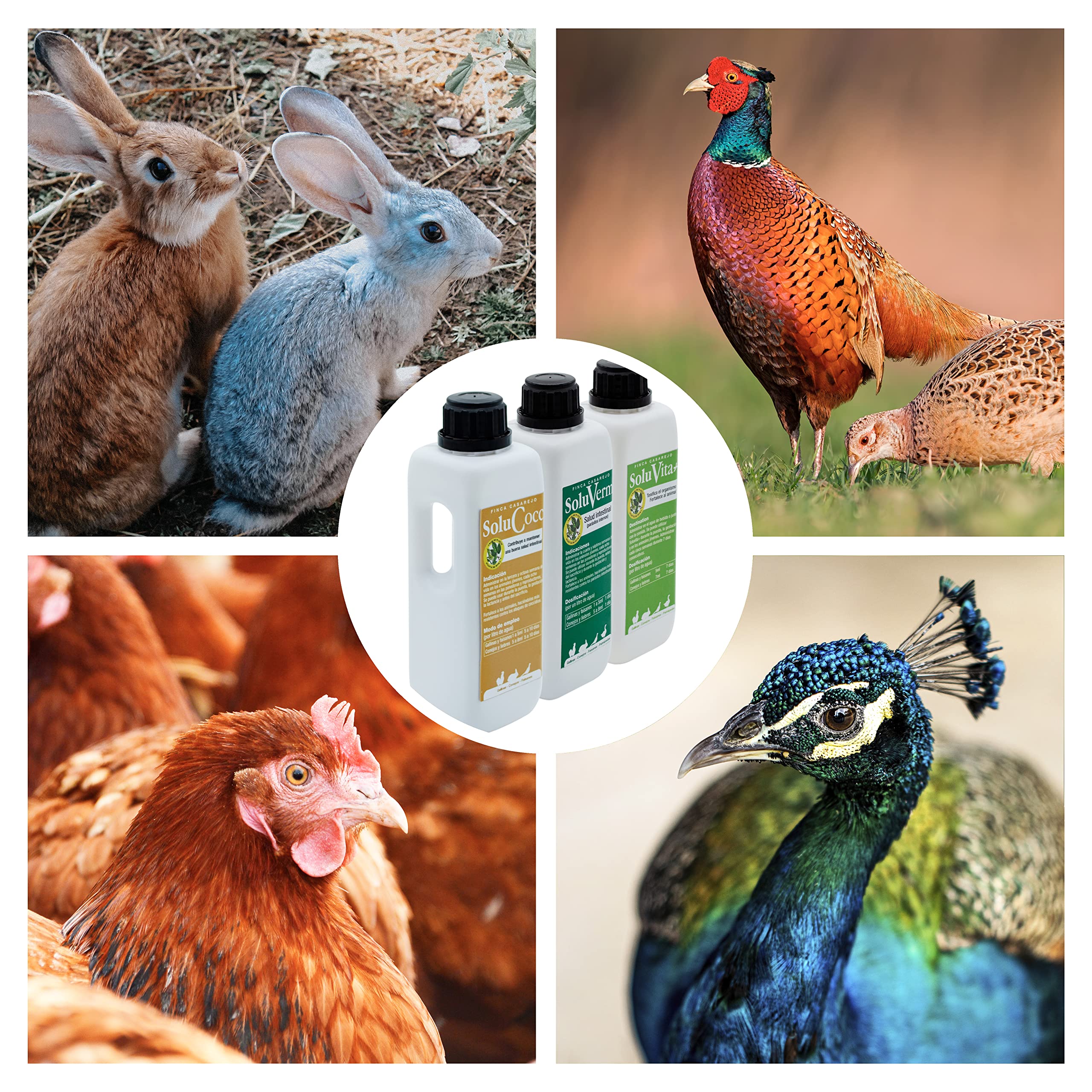 FINCA CASAREJO Pack de Productos para Desparasitar Aves Internamente - Previene los Coccidios y los Vermes en Gallinas, Faisanes, Conejos - Vitaminas Naturales para Animales - 250 ML por Producto