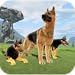 Clan of Dogs