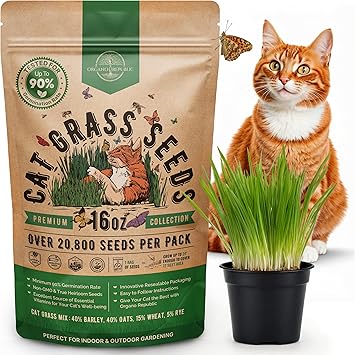Organo Republic Cat Grass Seeds Mix - 20,800 Non-GMO Heirloom Seeds for Cats & Pets, 16 oz Pack for Growing Fresh Barley, Oat, Rye & Wheat Grass Seeds for Planting, Indoor Plants, Hairball Remedy