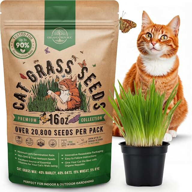Organo Republic Cat Grass Seeds Mix
