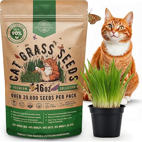 Organo Republic Cat Grass Seeds Mix - 20,800 Non-GMO Heirloom Seeds for Cats & Pets, 16 oz Pack for Growing Fresh Barley, Oat, Rye & Wheat Grass Seeds for Planting, Indoor Plants, Hairball Remedy