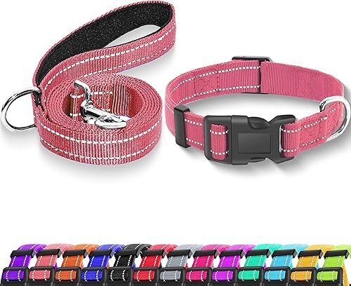 Maiiu Collar reflectante para perro con hebilla de bloqueo de seguridad, collares de nailon suaves y transpirables ajustables para perros pequeños,