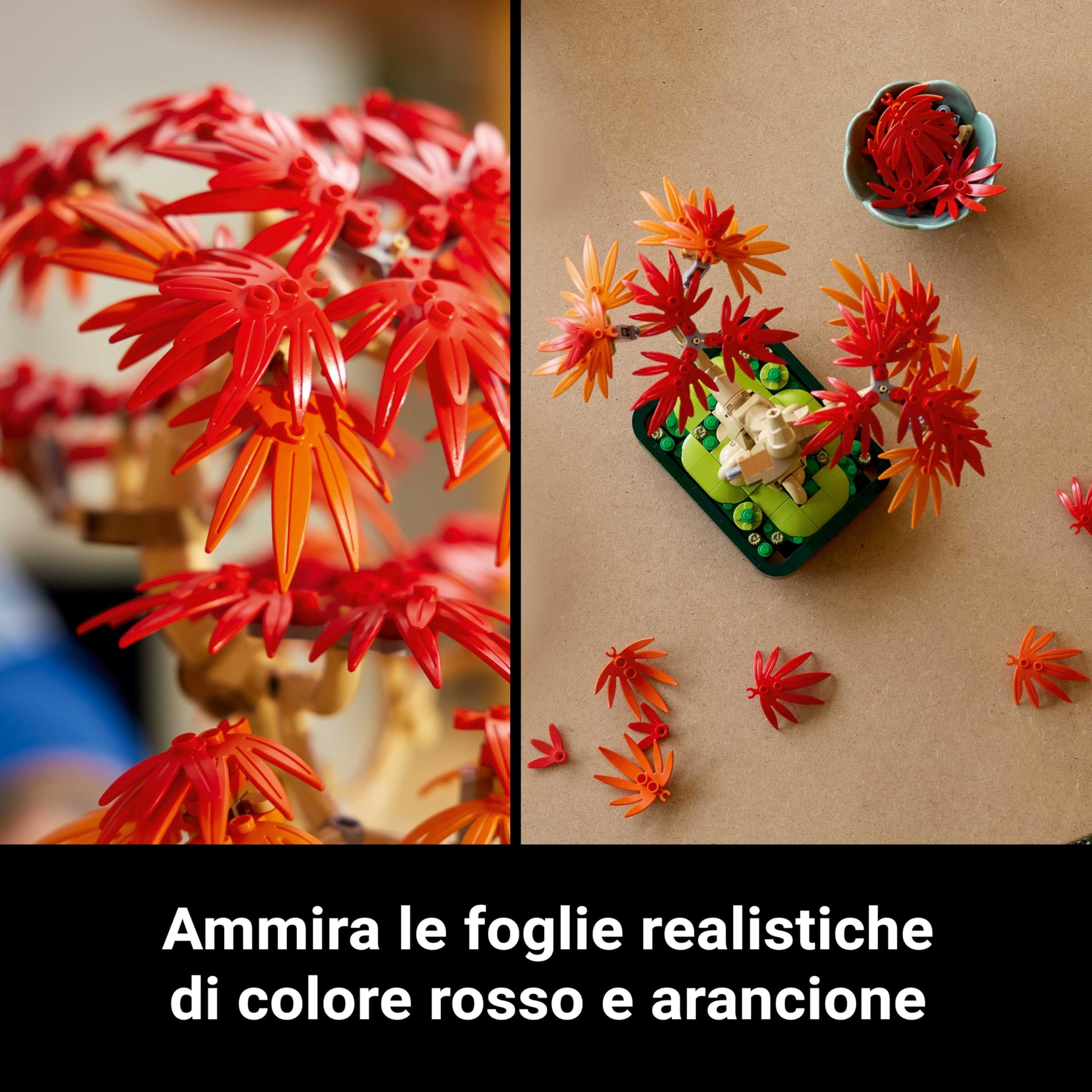 LEGO Botanicals Bonsai di Acero Rosso Giapponese - Set di Piante Artificiali con Foglie Rosse e Arancio Finte e Vaso Costruibile - Regalo per Adulti Amanti del Fai da Te - 10348