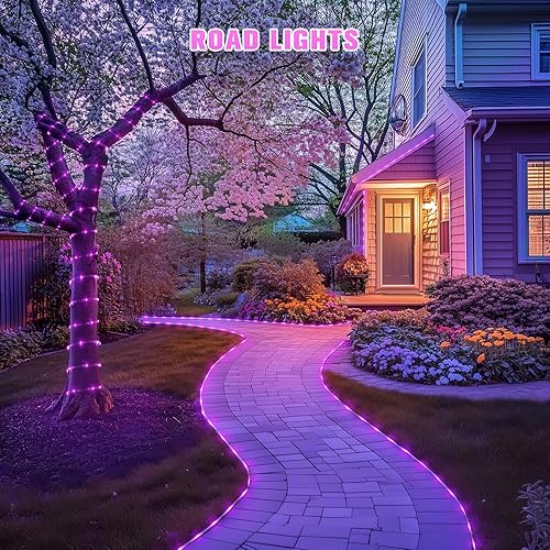 Miniatura 135 de JMEXSUSS Tira de luces de Navidad multicolor de 163 pies con 500 luces LED para exteriores, resistente al agua, alambre transparente, luces Varios