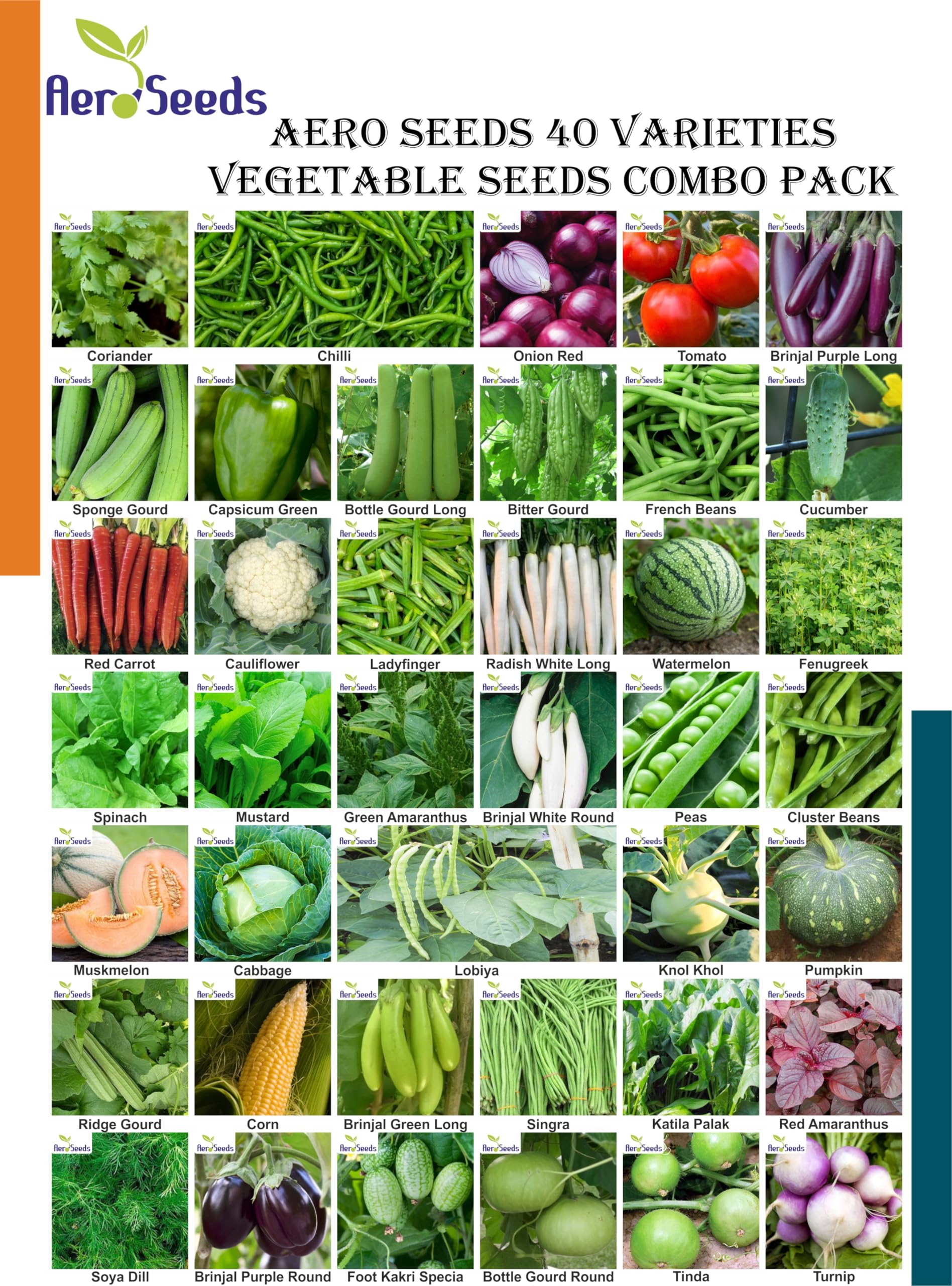 Aero Seeds Combo of 40 varieties vegetable seeds with instruction manual.-image-32