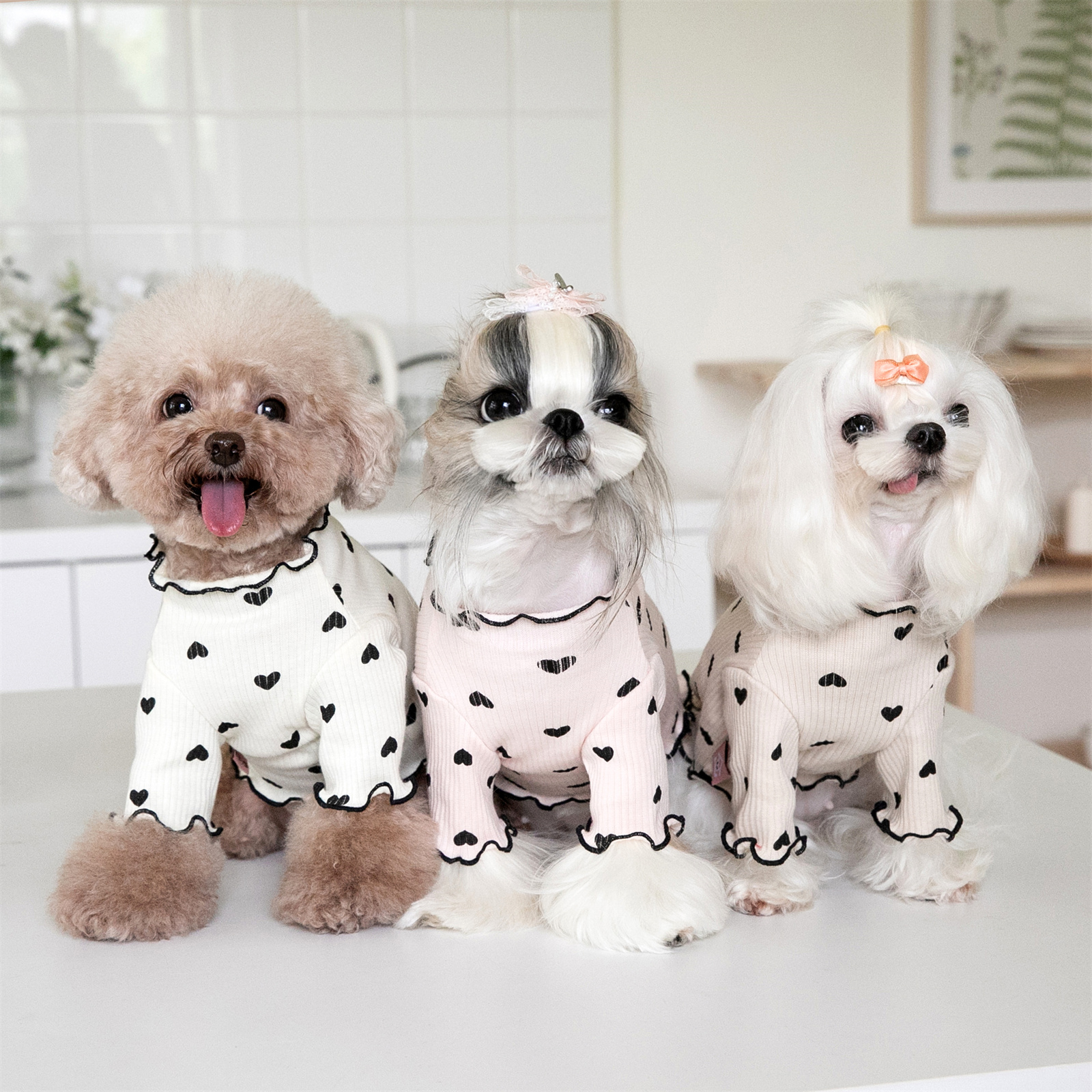Amazon.com : Yaopelky Pet Clothes for Small Dogs Cat Summer Fall