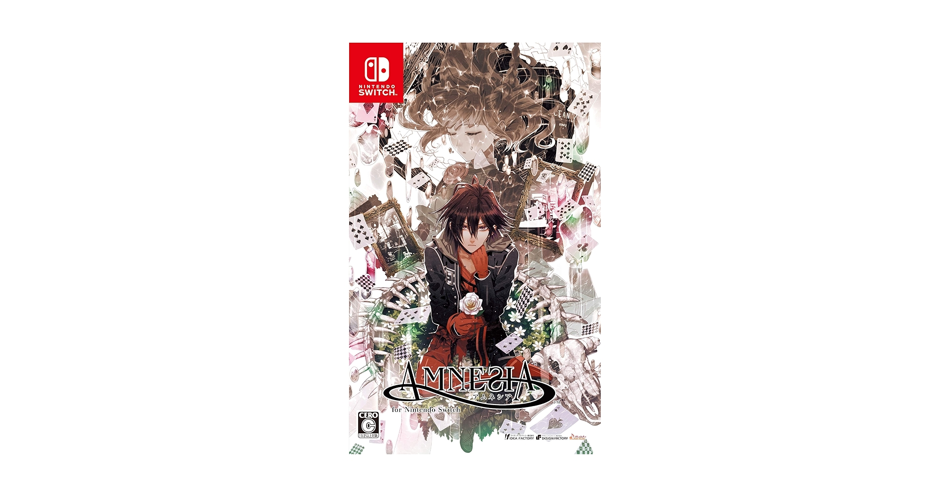 Nintendo Switch AMNESIA World for Nintendo Switch Amnesia World for Nintendo Switch for Nintendo Switch