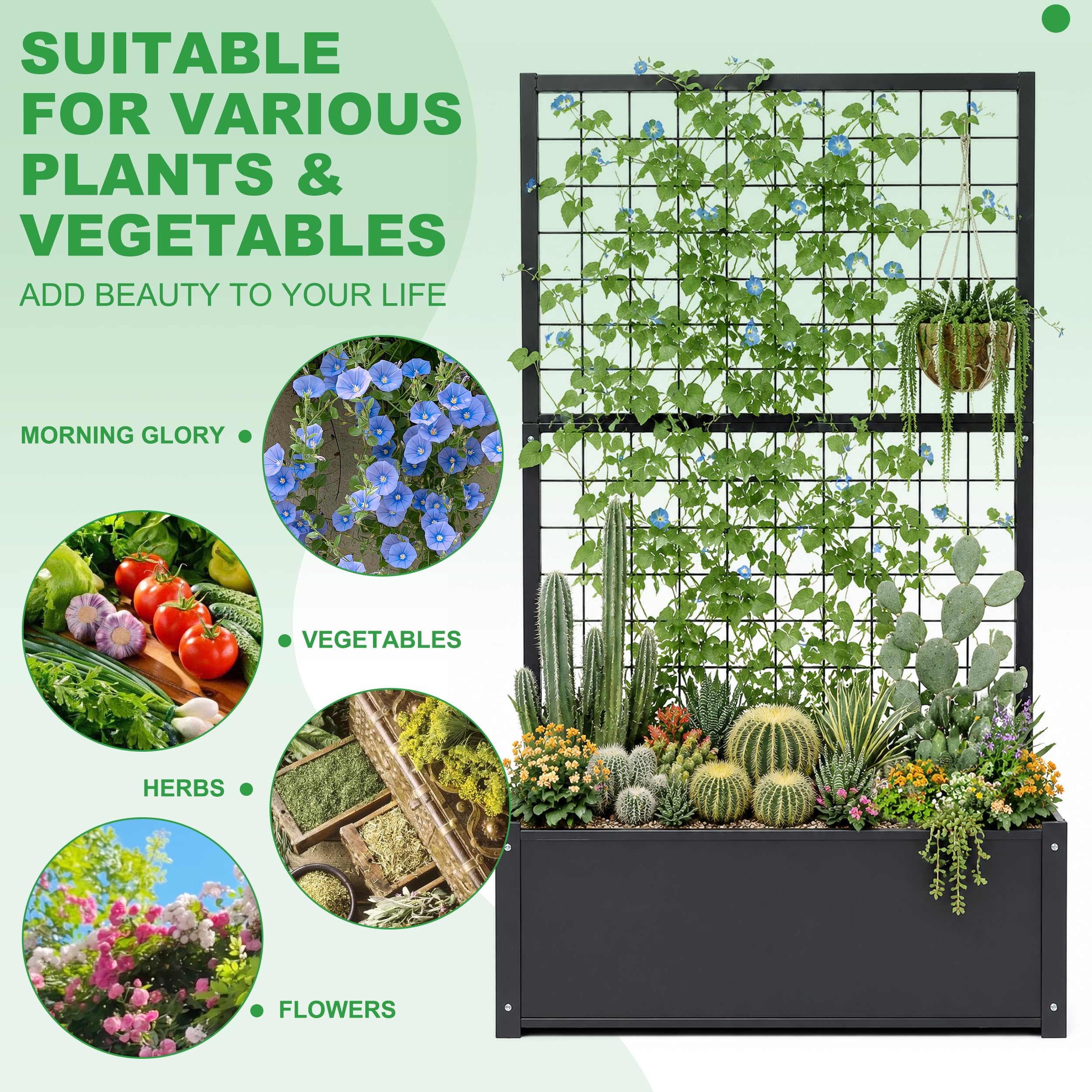Metal Garden Bed with Trellis - 59" Tall -5