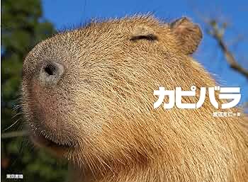 KAPIBARA 91WXDLp4zJL._UF350,350_QL50_.jpg