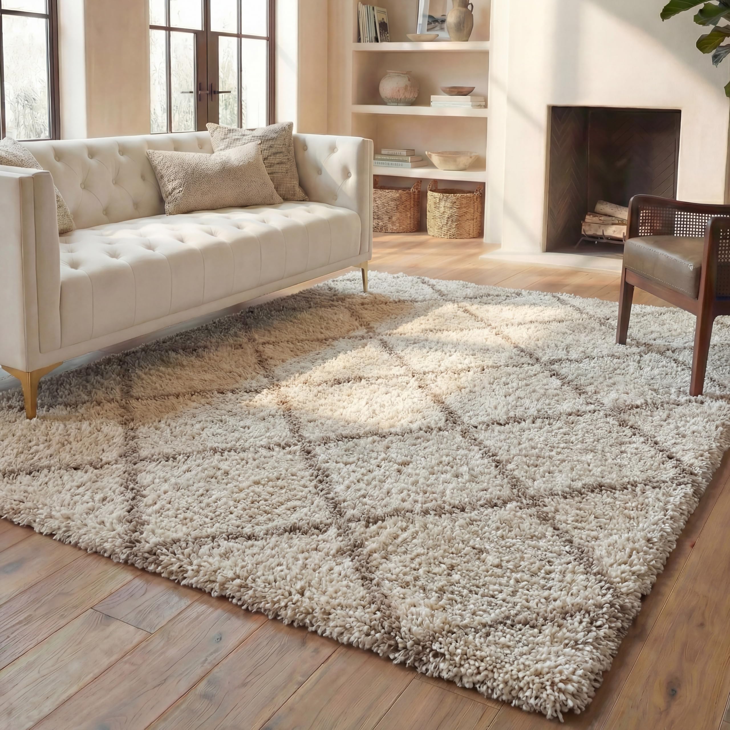 SAFAVIEH Hudson Shag 10x14 Rug