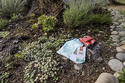 Miniatura 6 de Beetle & Bee, juego de pájaros pequeños, juego de observación de aves en el patio trasero, certificado FSC, para niños y niñas a partir de 5 años