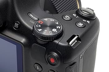 Amazon.com : Kodak PIXPRO Astro Zoom AZ522 16 MP Digital