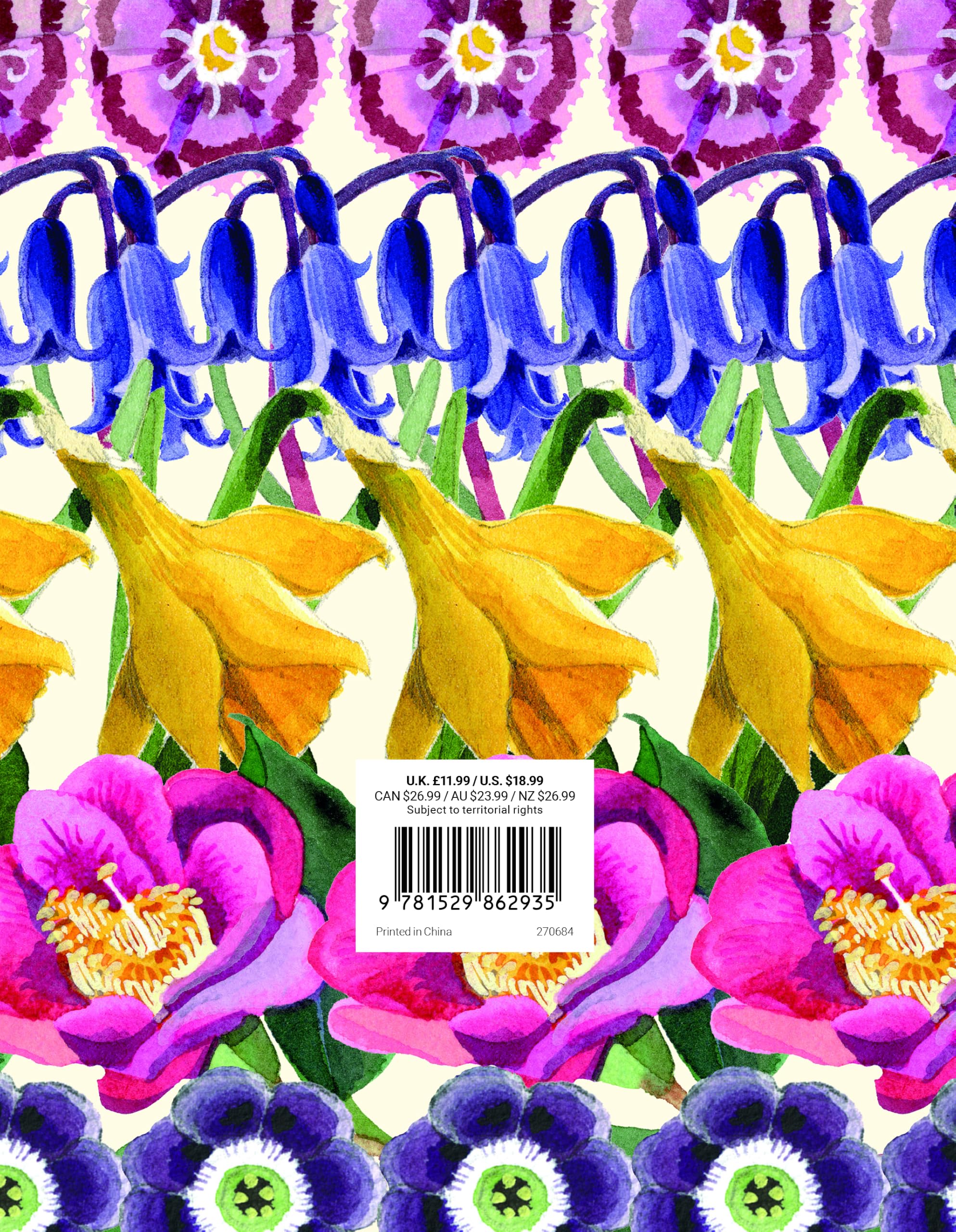 View 4