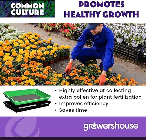 Miniatura 4 de COMMON CULTURE Bandeja de recorte, juego de pantallas de tamiz en seco de 150 micrones, estante de secado plegable de 24 pulgadas, kit de molduras