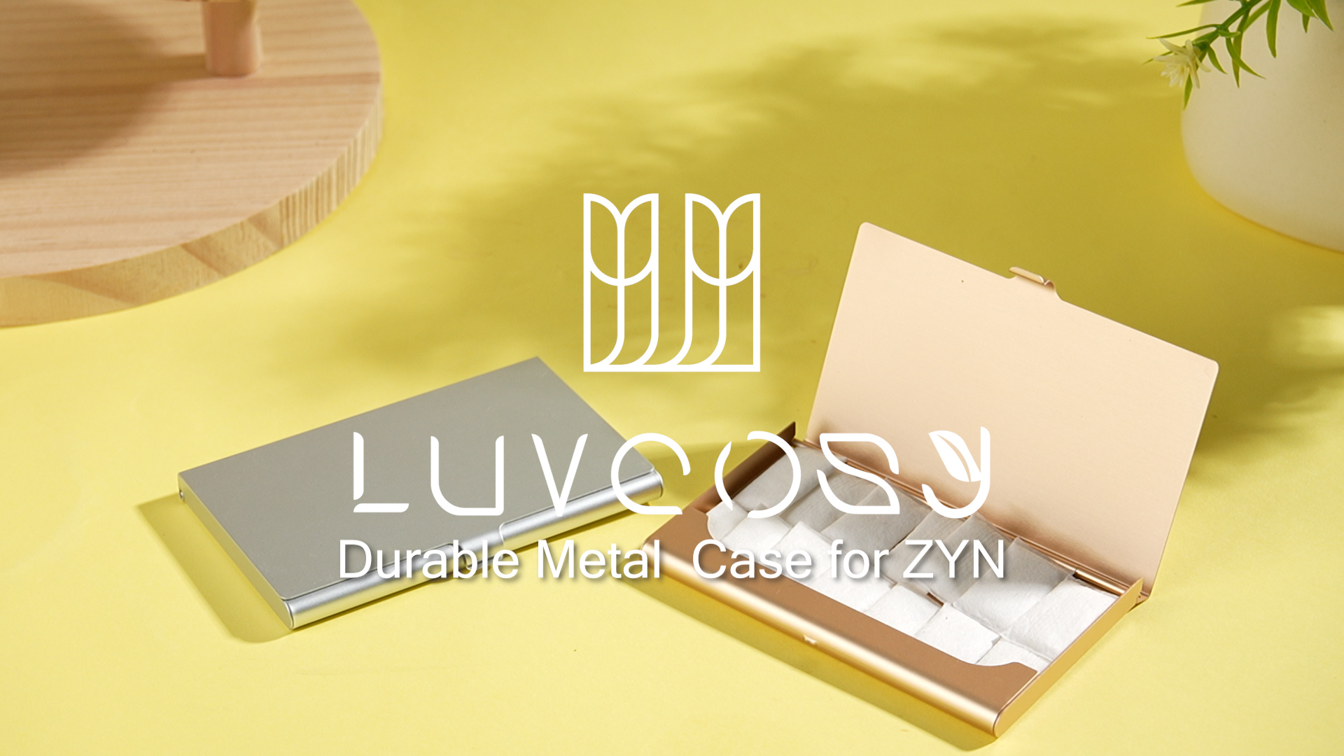 Amazon.com: 2 Packs Metal Container for Zyn | All-White Pouch Case
