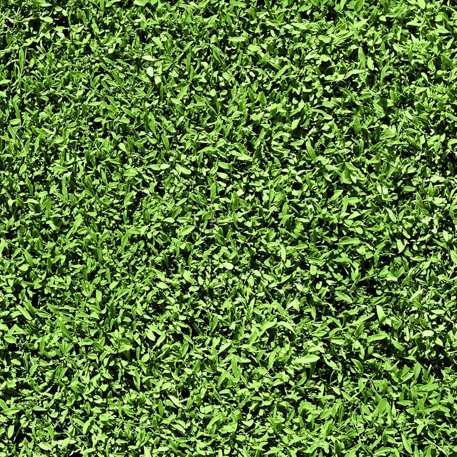 FunStick Green Botanical Leaf Wallpaper Peel and Stick Greenery Grass Wall Paper Decor Removable Green Contact Paper Peel and Stick Wallpaper for